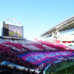 2017シーズン セレッソ大阪のまとめ ～天皇杯～